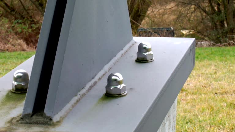 Mold Documentation for Insurance Claims in Lake Ronkonkoma, NY